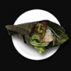 Shin Shan Handroll
